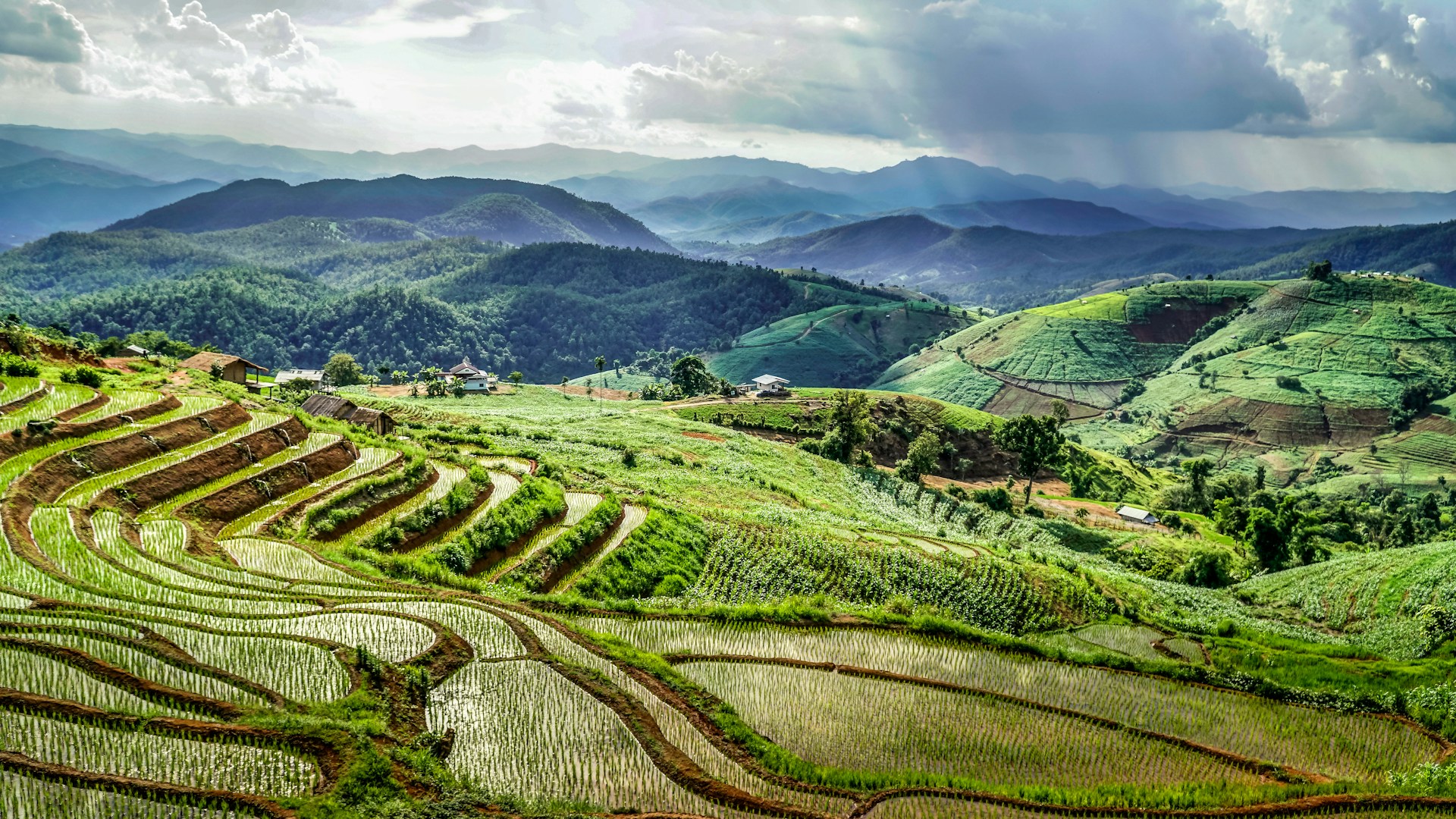 Eco-Friendly Farming Methods Leading the Way in Southeast Asian Agriculture